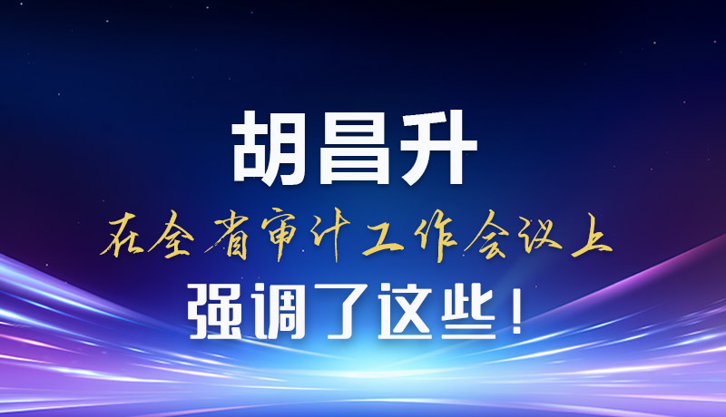 图解|胡昌升在全省审计工作会议上强调了这些!